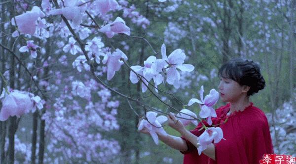 李子柒“隱居”地公開，這座比成都還安逸的城市，究竟是什麼地方