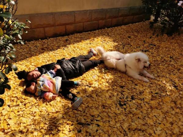 哪吒萌娃小精怪