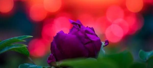 相是由心生,美貌是福報 相是由心生,美貌是福報