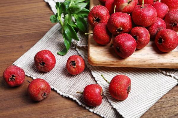 身體有病吃什麼好？這裡有答案！