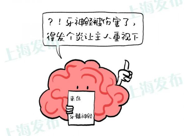 【醫聊】怎麼結束牙疼?被傷害的牙神經有話說 【醫聊】怎麼結束牙疼?被傷害的牙神經有話說