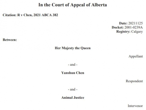 丟人!加拿大華人男子虐自家寵物狗遭判刑,竟辯稱和文化有關 丟人!加拿大華人男子虐自家寵物狗遭判刑,竟辯稱和文化有關