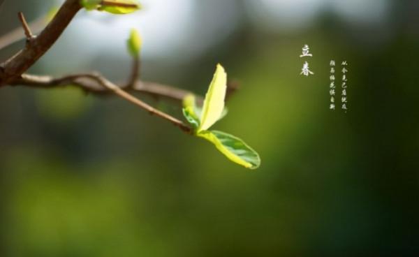 24節氣的傳說與故事，你知道哪些？漲知識