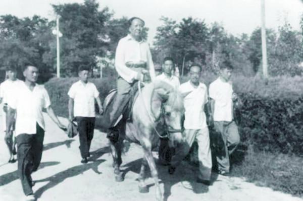 轉戰陝北時，毛主席騎的那匹馬後來怎麼樣了？待遇非常高