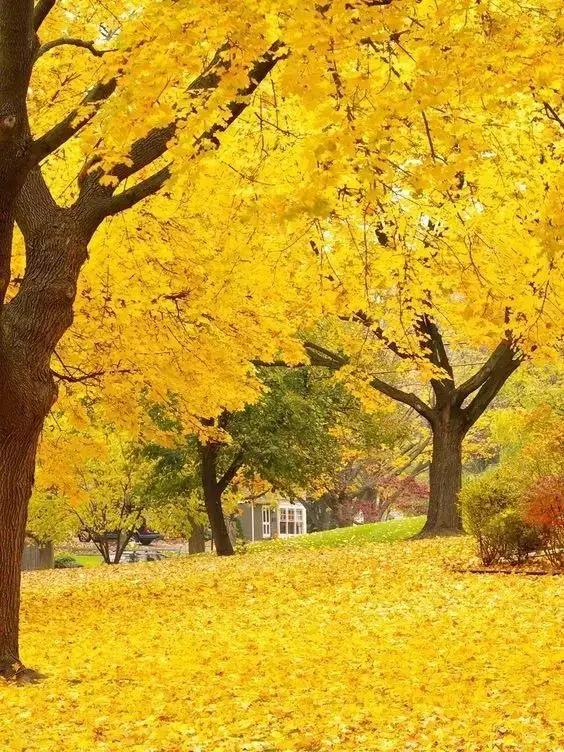 新陳代謝慢的人該如何減肥