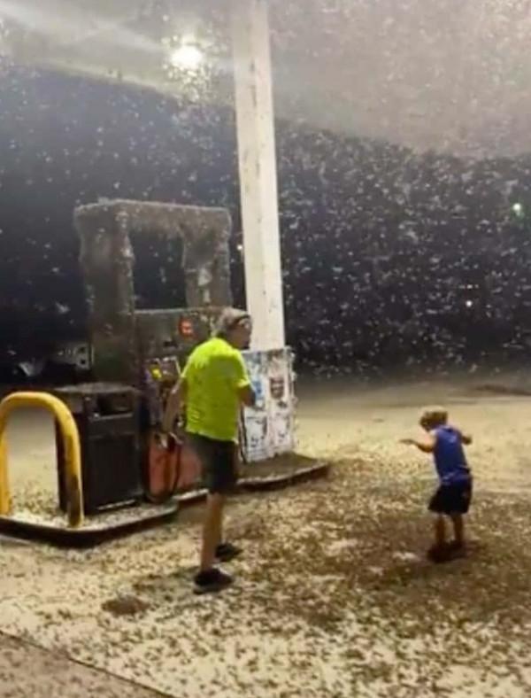 有些照片看似普通,卻讓人感到恐懼 有些照片看似普通,卻讓人感到恐懼