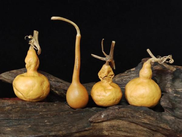 玩葫蘆的最高境界