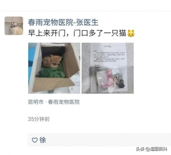 原來狗狗也不喜歡調休