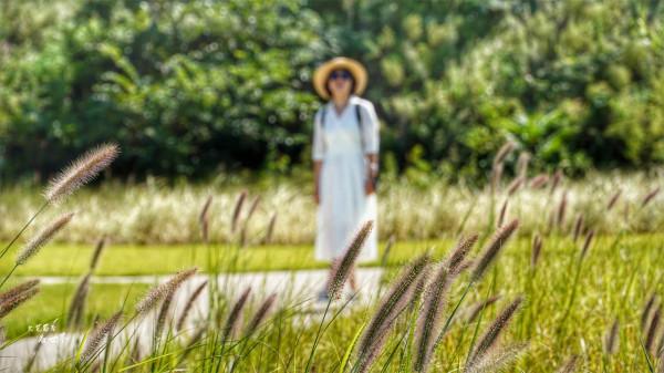 威海有個雞鳴島，它是山東最小的島，竟然有5-6個寶藏網紅打卡地