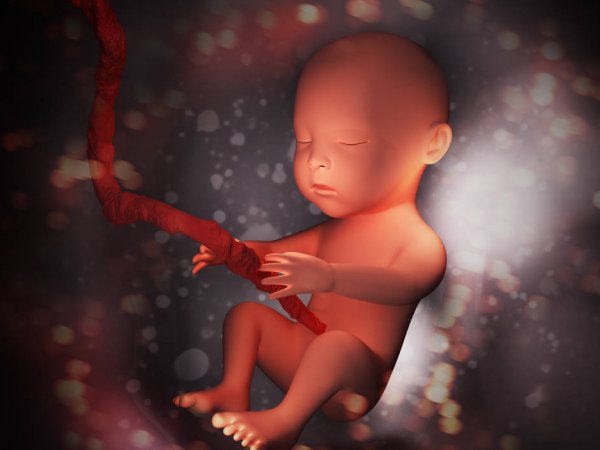 羊水為什麼叫羊水，和羊有關係嗎？它的作用與重要性有哪些？