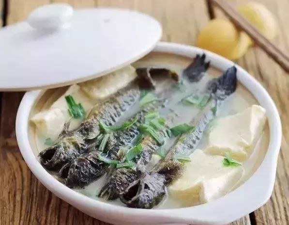 跳跳魚:我為了上岸跳了3億年,卻還是跳進了你們人類的廚房 跳跳魚:我為了上岸跳了3億年,卻還是跳進了你們人類的廚房