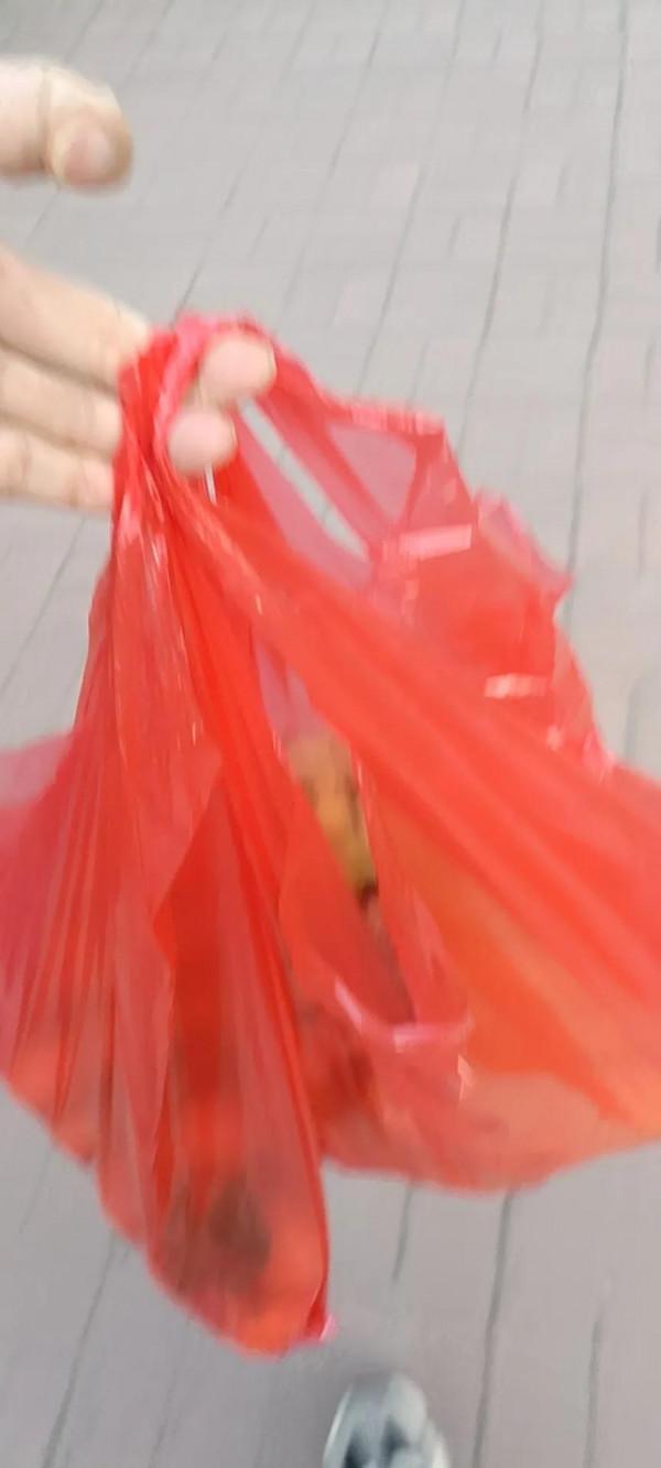 永遠不要小看孩子的毅力