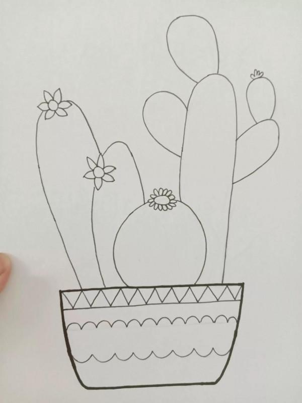 《仙人掌》線描畫繪畫過程