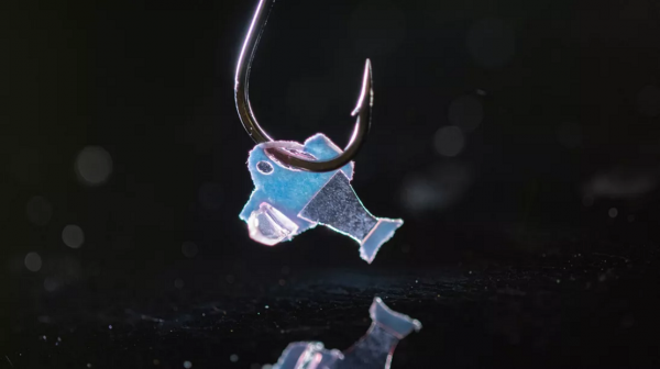 科學家利用人類心臟細胞造出能自己游泳的生物雜交魚