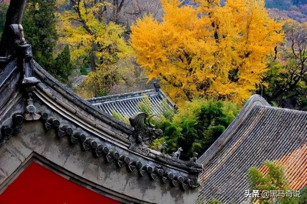 2000年，江西孝子遵遺囑將父做成“木乃伊”，供奉家中無人敢拜訪