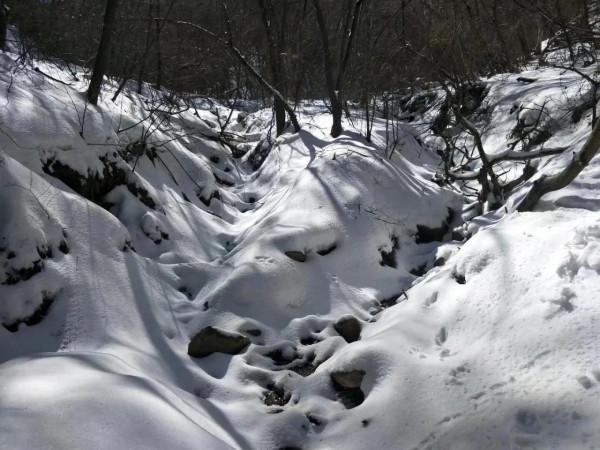 抱龍峪雪景
