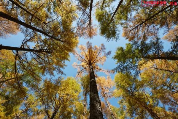 這一次,為什麼是承德? 這一次,為什麼是承德?