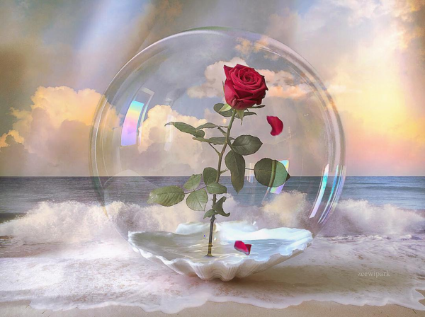 星座分析站：獅子座詳解