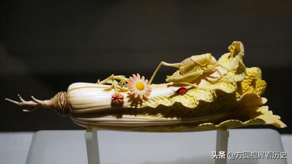 牙雕白菜,菜地裡挖出的國寶 牙雕白菜,菜地裡挖出的國寶