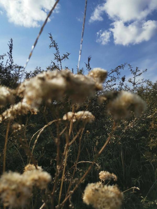 宣化紅一師老戰友遊走大明宣府青邊口，晚秋景色亦迷人