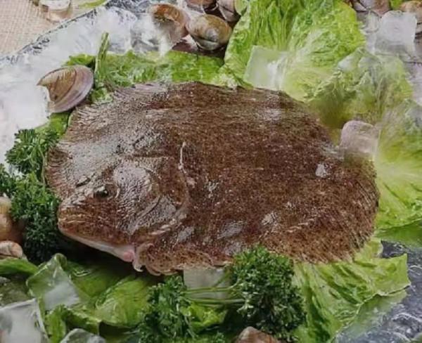 吃多寶魚原來有這麼多好處 吃多寶魚原來有這麼多好處