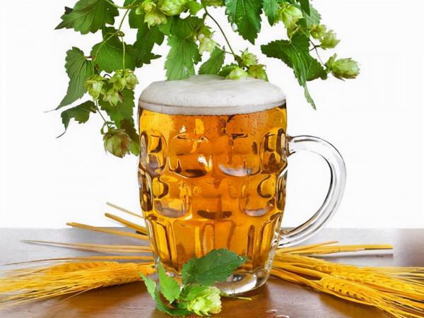 這3種花個個是“酒鬼”，一次喝半斤，葉片油亮，花開不斷