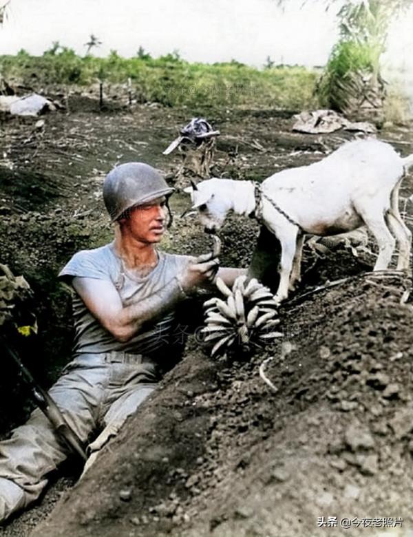 老照片：德軍擠羊奶，美軍將日軍頭顱送給女友，溥儀同戰犯下圍棋