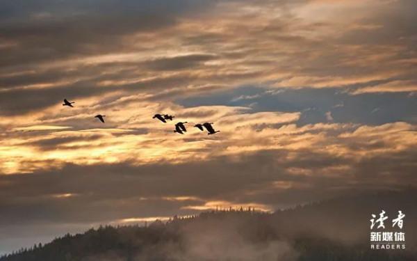 關於文學和愛情，北島的10句話恰如其分