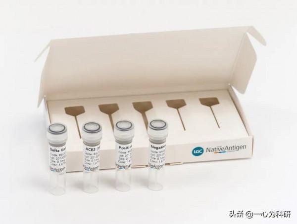 《科學家》雜誌揭曉2021年十大創新科技產品