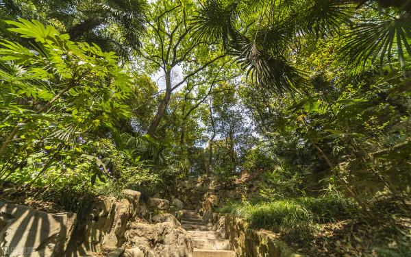 |軍旅歲月｜劉耀宇：偵察大隊集訓記