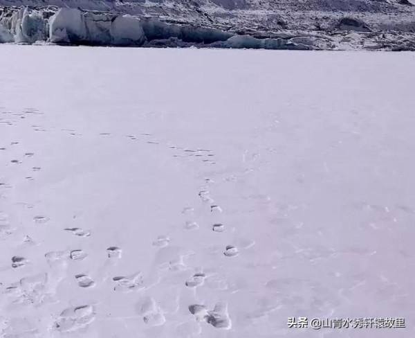 北方的冬天是銀裝素裹