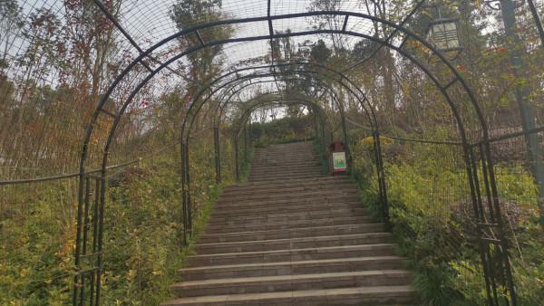 重慶大足地標公園，號稱面積最大景觀最美，辛苦走完總感覺不對