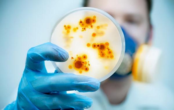 男子腎病綜合徵用激素為何會復發?如何預防復發?中醫調理方法 男子腎病綜合徵用激素為何會復發?如何預防復發?中醫調理方法