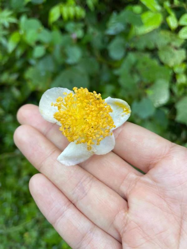 我走進了貴州大山深處的布依族村落,這裡藏著治癒系的秘境寶藏 我走進了貴州大山深處的布依族村落,這裡藏著治癒系的秘境寶藏