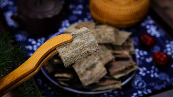 坐的時間久了，腰部又酸又疼怎麼辦？做到這兩條，比鍛鍊更重要