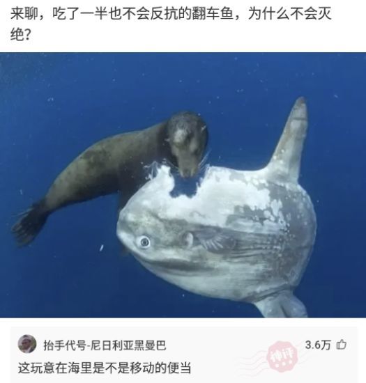 小象偷甘蔗被抓,試圖躲在電線杆後面,好萌 小象偷甘蔗被抓,試圖躲在電線杆後面,好萌