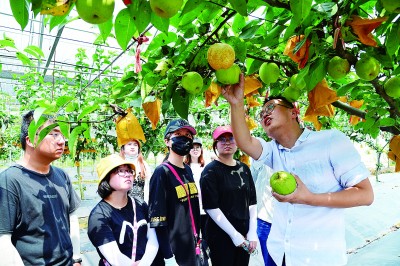 新型職業農民要從培訓轉向培育