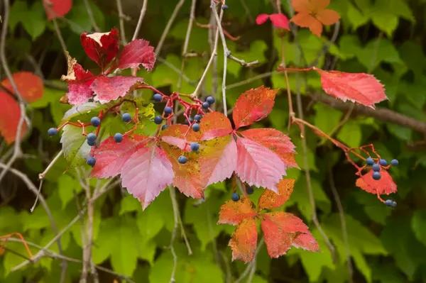 公路之旅！秋意濃，房山紅 | 快來解鎖貫穿美景的靈魂公路