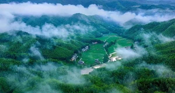 江西3大&OpenCurlyDoubleQuote;慘敗茶&rdquo;，輝煌時曾家喻戶曉，為啥如今出了贛鄱沒人喝