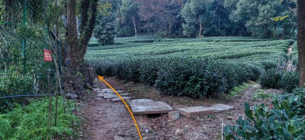 杭州登山徒步路線16:一條與愛心路線有關的環線 杭州登山徒步路線16:一條與愛心路線有關的環線