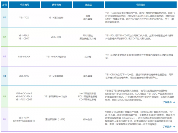 跨越世紀的細菌療法再掀浪潮，專家：合成生物學將助其進入新階段