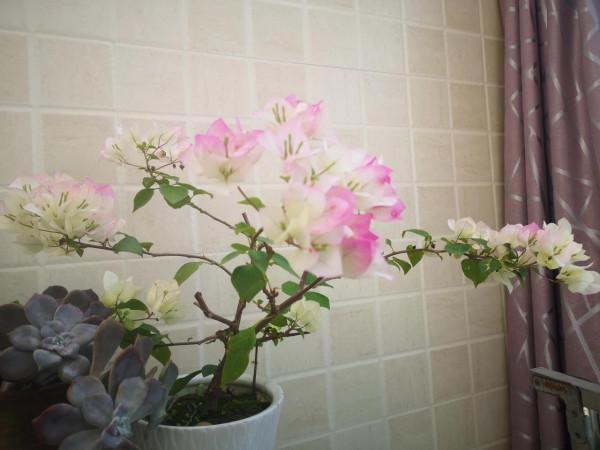 十月再見，十一月您好