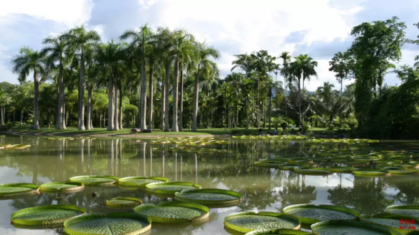 中國古今十之最,長見識了! 中國古今十之最,長見識了!