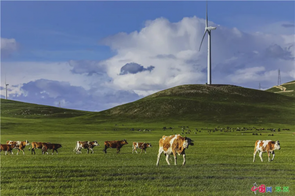 行攝草原丨盛夏走進清涼草原 感受悠閒夏日時光 行攝草原丨盛夏走進清涼草原 感受悠閒夏日時光