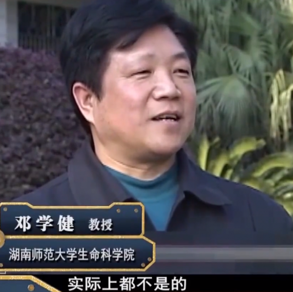 2009年，湖南20只相思鳥集體“自殺”，莫非鳥殉情的傳聞是真的？