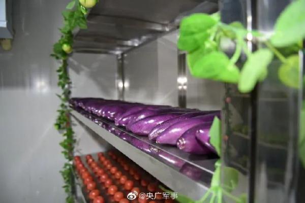 整整齊齊！兵哥哥專治各種“強迫症”