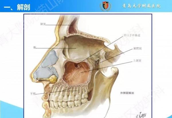頭頸五官CT斷層解剖圖及常見病影像診斷