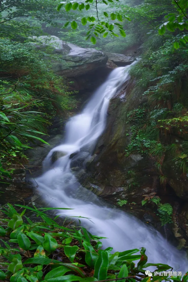 李白,一生好入廬山遊! 李白,一生好入廬山遊!