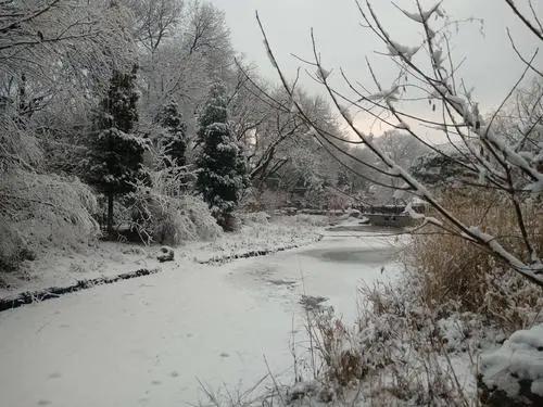 （懷舊）臘八印象