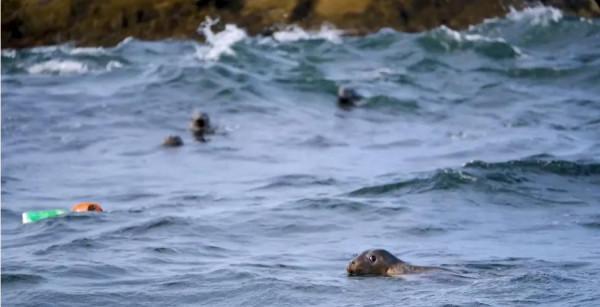 2021年度CNN評選十大英雄人物，看看他們的故事